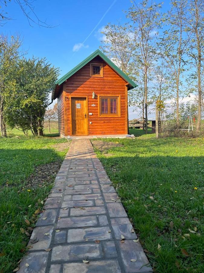 Salas Gnijezdo Backa Palanka Bagian luar foto